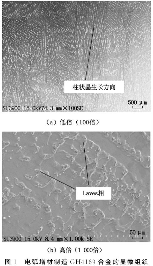 未标题-1.jpg